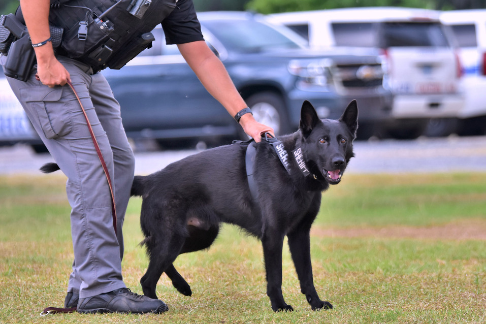 Commendations – Berkeley County Sheriff's Office